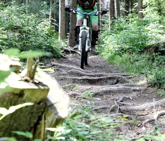 Mountainbike Eifel, © schanze communication