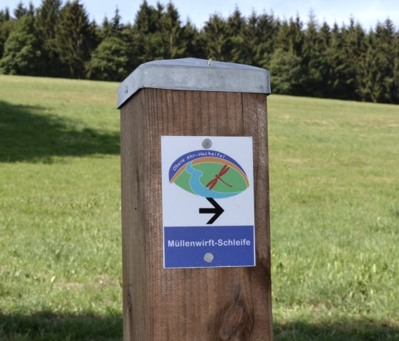 Markierung der Tour eine rote Libelle auf grünem Grund an einem blauem Flußverlauf, © Walter Schmitz