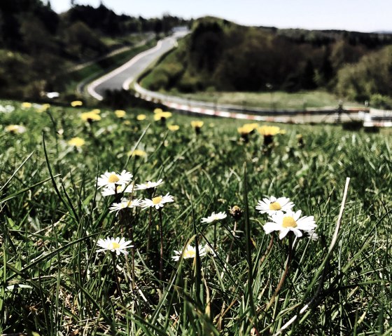 Nordschleife Nürburgring, © Tourist-Information Hocheifel Nürburgring©S.Schulte