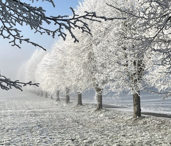 Eiszeit in Aremberg