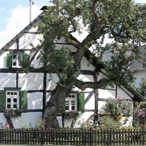 Pomster Fachwerkhaus, © Verbandsgemeinde Adenau