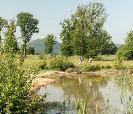 Wandern am Rodder Maar, Burg Olbrück im Hintergrund, © Eifel Tourismus GmbH, D. Ketz