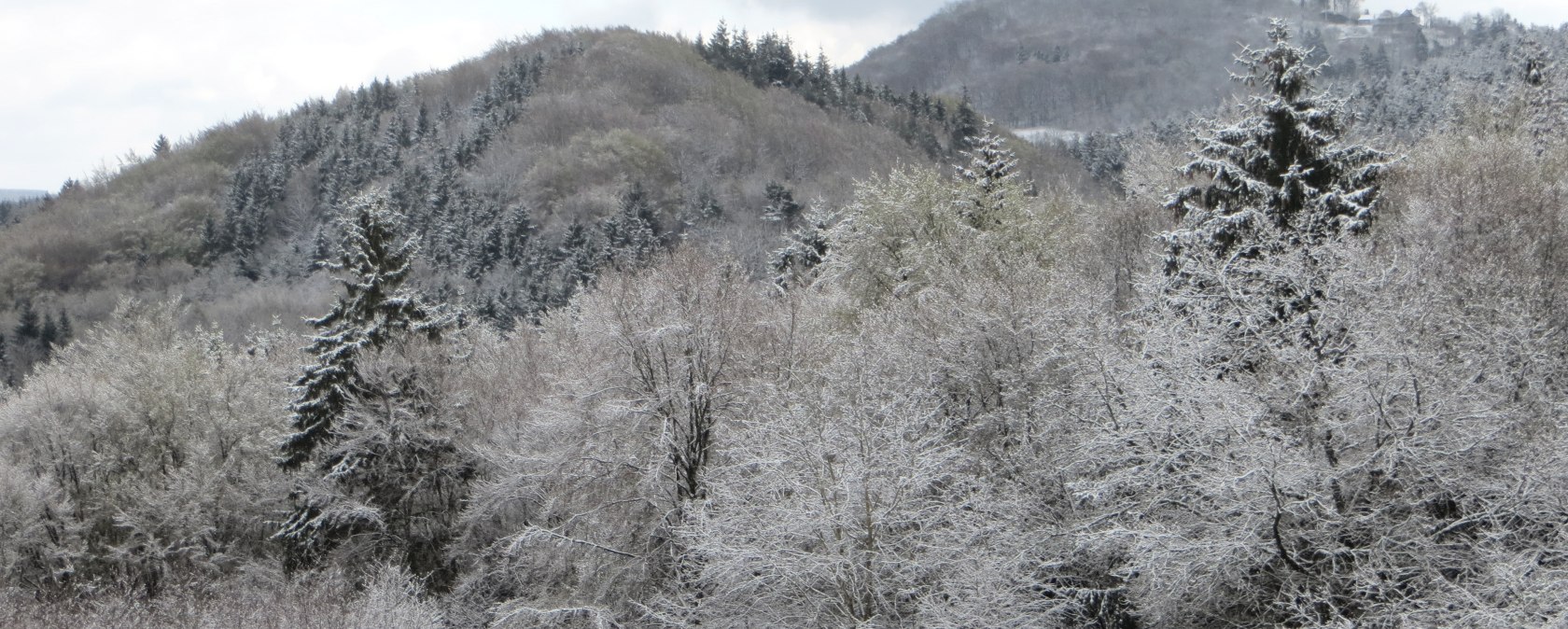 Winterbild Blick zur Nürburg, © Walter Schmitz