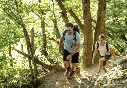 Waldpfad Etappe 5 AhrSteig, © Ahrtaltourismus, Dominik Ketz