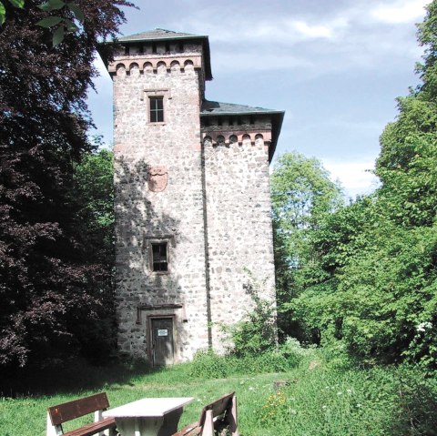 Arenberg Turm, © TI Hocheifel-Nürburgring, Alois Schneider