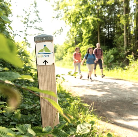 Wandertouren | Hocheifel-Nürburgring, © Dominik Ketz_ Eifel Tourismus GmbH