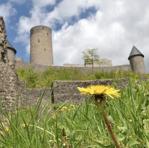 Ansicht Nürburg, © Meik Halbach