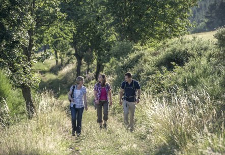 Wanderung, © Kappest_VGBrohltal