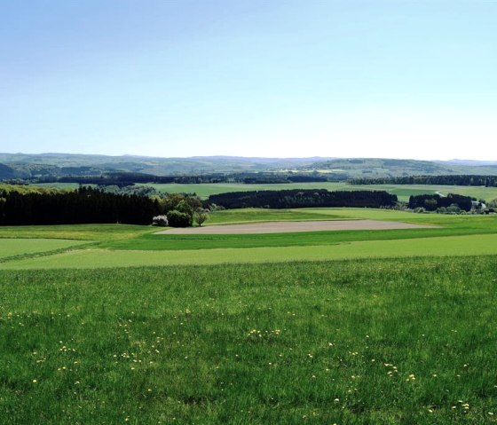 Blick vom Aremberg, © Pannhausen