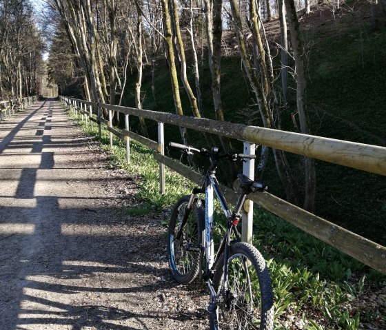 Ahr-Radweg Ahrdorf_AhrHütte, © TI Hocheifel-Nürburgring,D.Schmitz