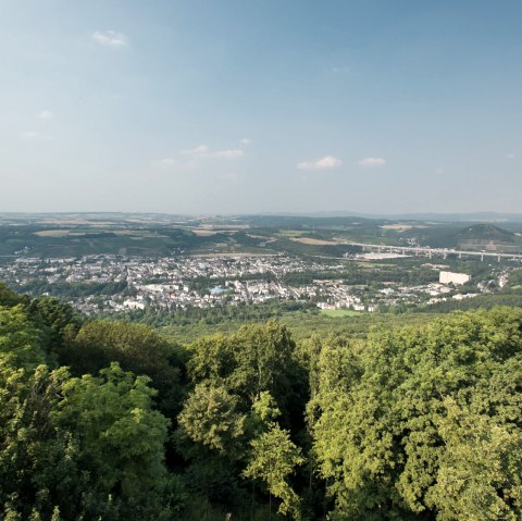 AhrSteig Neuenahrer-Berg, © Ahrtaltourismus e.V.