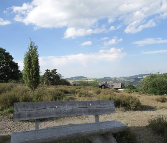 Wacholder in der Eifel, © Traumpfad Wacholderweg © Svenja Schulze-Entrup