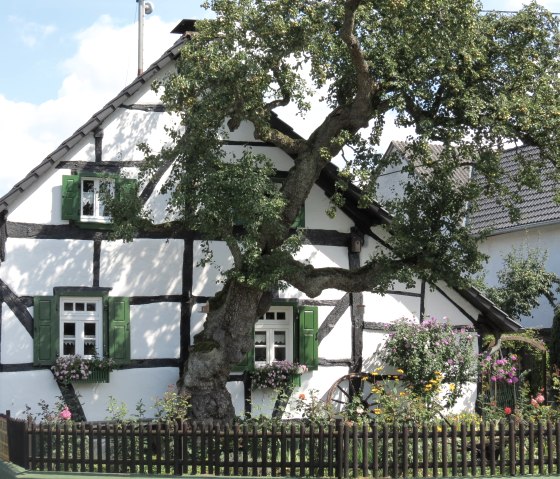 Pomster Fachwerkhaus, © Verbandsgemeinde Adenau