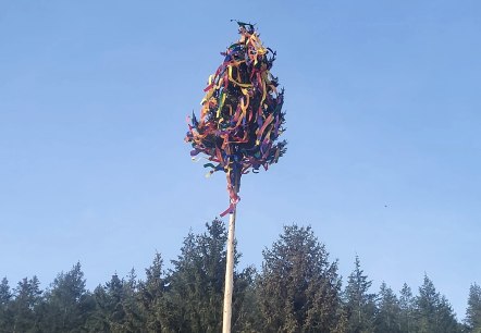 Maibaum, © Daniela Scheffold