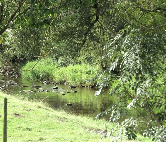 Antweiler Wiesen, © Tourist-Information Hocheifel-Nürburgring