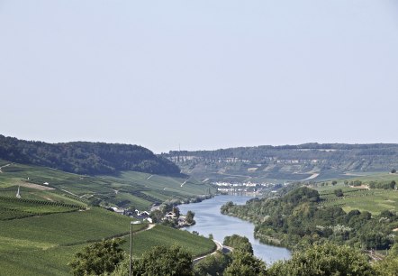 Mosel, © Moseltouristik©ElkeJansen