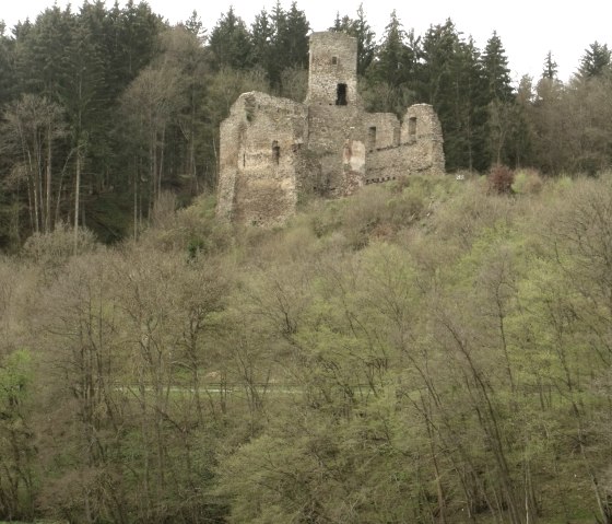 Burgruine Neublankenheim, © Willibert Daniels