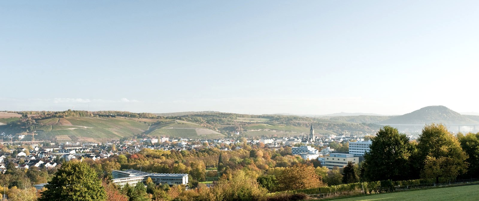 AhrSteig der Karlskopf in Bachem im Herbst, © Ahrtaltourismus, Dominik Ketz