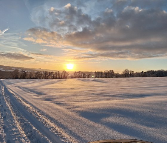 Wirft im Schnee 5, © Frank Hoffmann