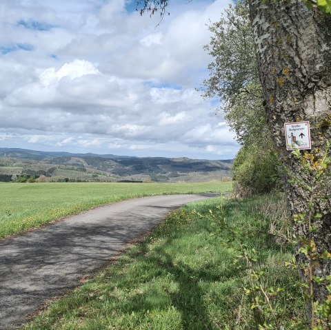 Kurze Touren durch die Eifel , © TI Hocheifel-Nürburgring 