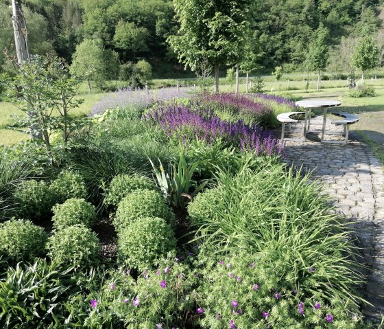 Pflanzeninsel im Inklusionsgarten Müsch, © Tourist-Information Hocheifel-Nürburgring