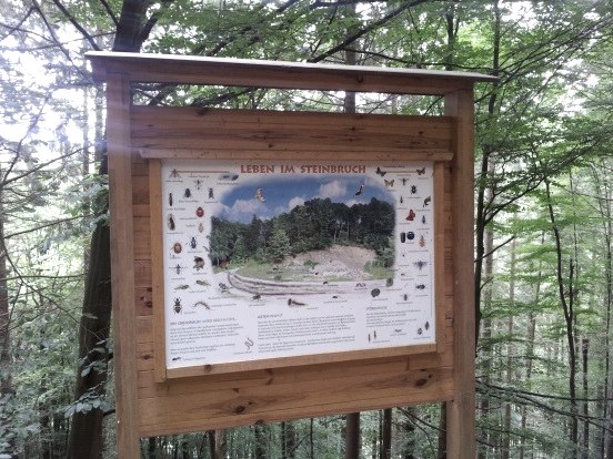 Infotafel mit Erklärungen zum Leben im Steinbruch. Verschiedene kleine Tiere mit Bildern und Text., © Bernd Schiffarth