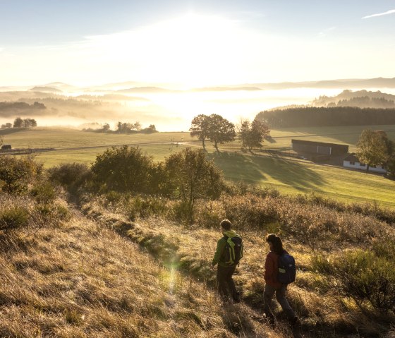 Wandern in den Sonnenaufgang am Eifelsteig, Rother Kopf, © Eifel Tourismus GmbH, Dominik Ketz