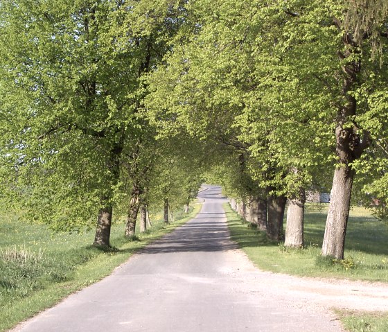 Alle zur Schutzkapelle Aremberg, © TI Hocheifel Nürburgring,A.Schneider