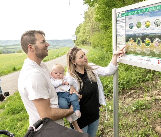 Interessante Informationen zur Baugeschichte des legendären Nürburgrings und den Besonderheiten zur Flora und Fauna erhält man auf dem Rundwanderweg 10,5 km | Auf den Spuren der Grünen Hölle, © TI Hocheifel-Nürburgring,D.Ketz