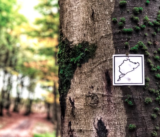 Wanderweg Auf den Spuren der grünen Hölle, © TI Hocheifel-Nürburgring,S.Schulte