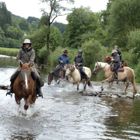 Pferde im Wasser, © Eifel zu Pferd e. V.