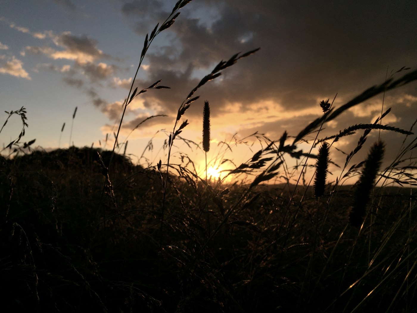 Herbstsonne in der Eifel, © Sebastian Schulte