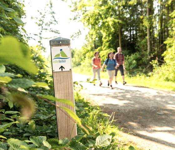 Wandertouren | Hocheifel-Nürburgring, © Dominik Ketz_ Eifel Tourismus GmbH