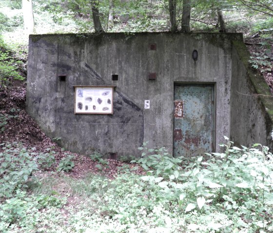 Ein Steinbunker auf dem Eulenweg dort  wohnen Fledermäuse, © Daniela Scheffold