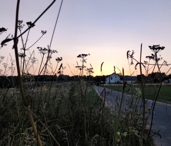 Sonnenuntergang Ferienwohnung Eifelzeiten, © Ferienwohnung Eifelzeiten,Gossen