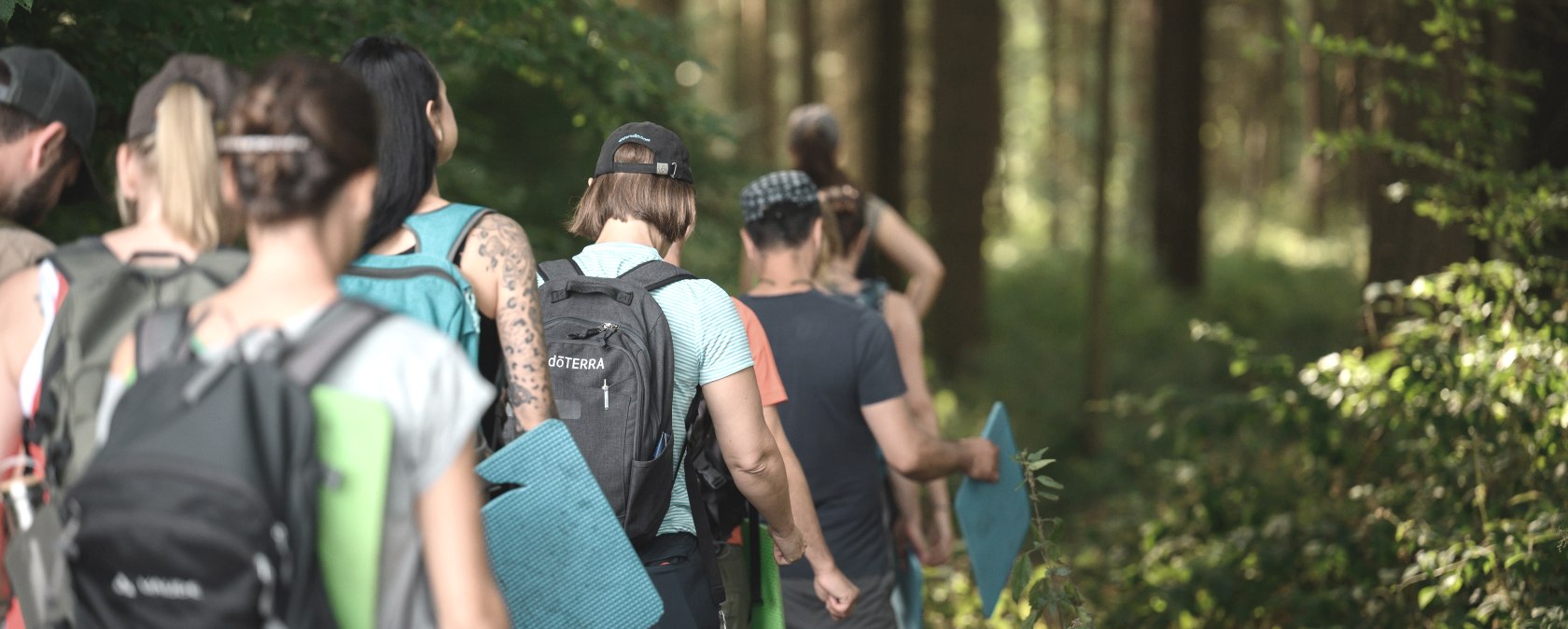 Auf Pfaden durch den Wald 