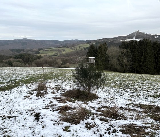 Die Nürburg im Winter, © Setzlach