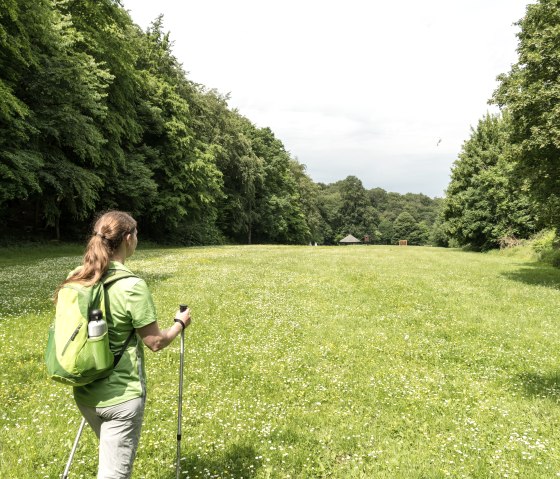 Wanderer auf der Paradieswiese, © Ahrtaltourismus, Dominik Ketz