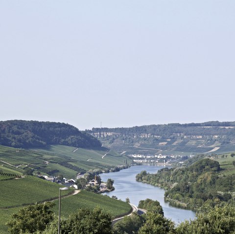 Mosel, © Moseltouristik©ElkeJansen