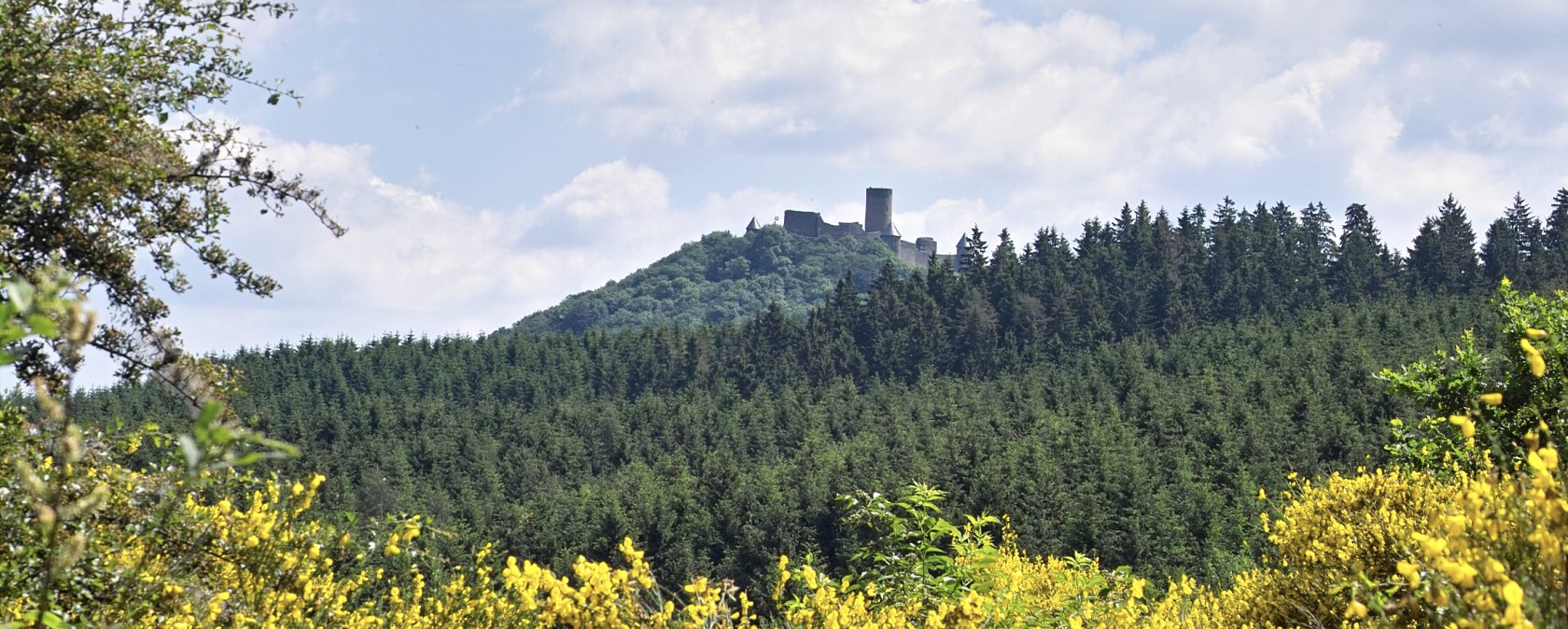 Burgruine Nürburg in Nürburg in der Eifel, © Verbandsgemeinde Adenau