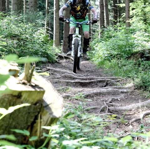 Mountainbiken Cross, © Schanze Communication