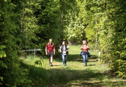 Wanderwege rund um den Nürbrurgring, © TI Hocheifel-Nürburgring, D. Ketz