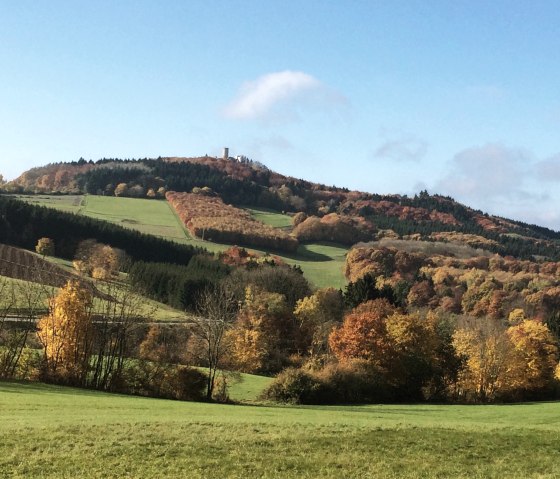 Blick auf die Nürburg, © Setzlach