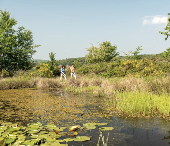 Ufer am Rodder Maar, © Eifel Tourismus GmbH, D. Ketz