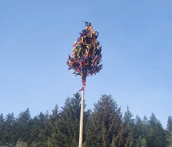 Maibaum, © Daniela Scheffold