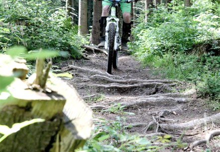 Mountainbiken Cross, © Schanze Communication