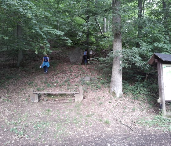 Ab dem Wanderparkplatz Hüstert oberhalb von Adenau starten der Wanderweg, © Daniela Schmitz