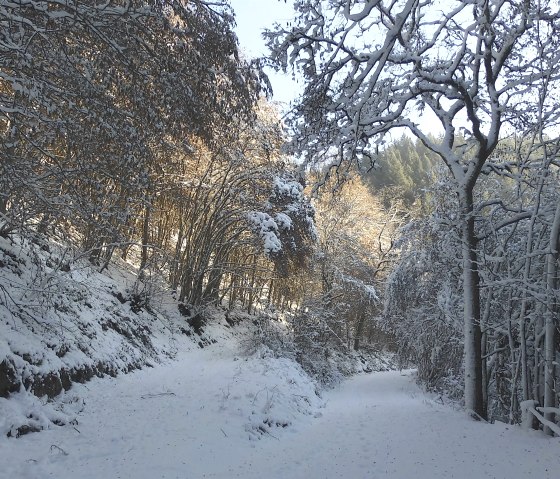 Winterwanderung, © Rita Kaiser