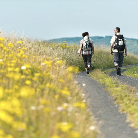 Wandern in der Eifel, © Ahrtaltourismus e.V.