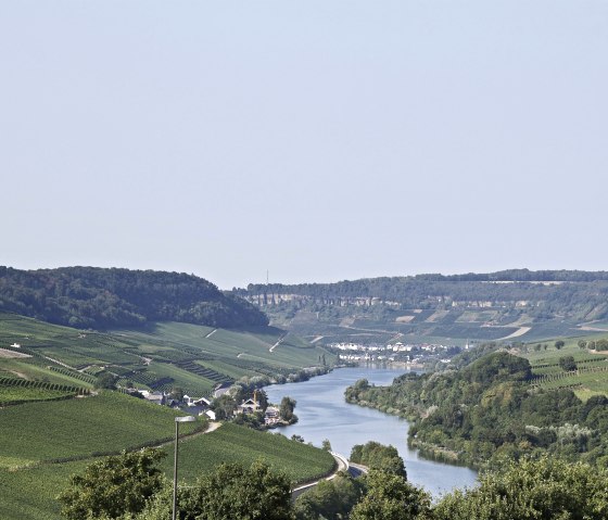 Mosel, © Moseltouristik©ElkeJansen